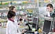Наличие лекарств от коронавируса в тульских аптеках власти взяли на контроль