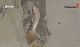 В Кимовске в пятиэтажке из-за сырости в квартирах растут грибы