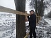 В Новомосковске забор территории «Авторемонтного завода» прикрепили к деревьям