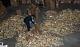 В Новомосковск пытались провезти партию «паленых» сигарет на 10 млн под видом технического масла