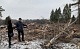 В Новомосковске для постройки коттеджного посёлка вырубили деревья