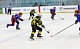 В Новомосковске появится команда Национальной молодежной хоккейной лиги