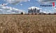 Предприятие в Тульской области оштрафовали за обработку полей пестицидами