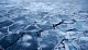 Толщина льда на водоемах Новомосковска безопасна