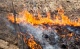 В Тульской области сохраняется высокая степень пожароопасности и ожидаются заморозки