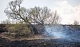 В Тульской области сохраняется высокая степень пожароопасности